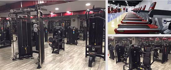 Press Sporting Commercial PRO Banc de gymnastique avec haltères réglables pour exercices plats inclinés